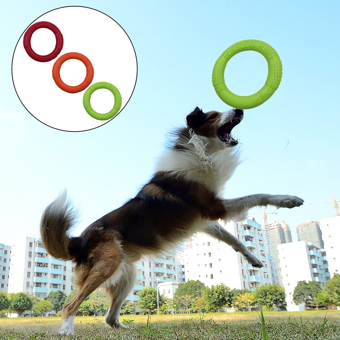 Behogar Floatable Biting Resistance Pet Dog Puppy Flying Ring Training Fetch Interactive Toy for Garden Pool Outdoor Activities