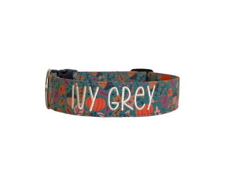 Pumpkins Personalized Dog Collar