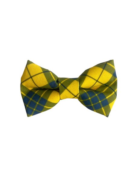 Yellow and Blue Dog Collar Bow Tie