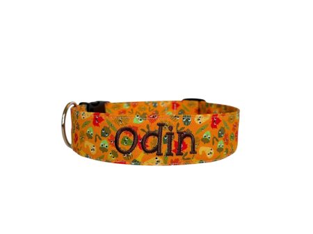 Silly Squash Personalized Dog Collar
