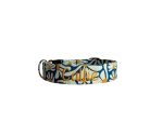 Crazy Daisy Personalized Dog Collar