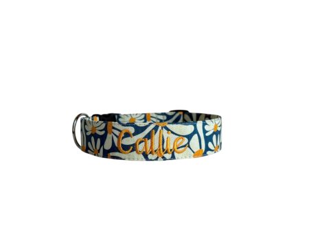 Crazy Daisy Personalized Dog Collar