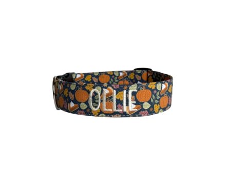 Pumpkin Pie Personalized Dog Collar