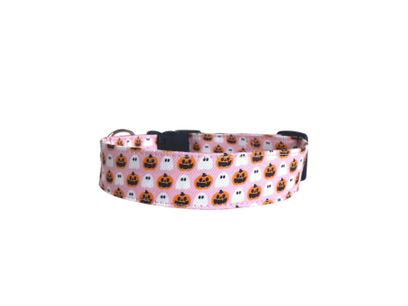 Pink Halloween Personalized Dog Collar